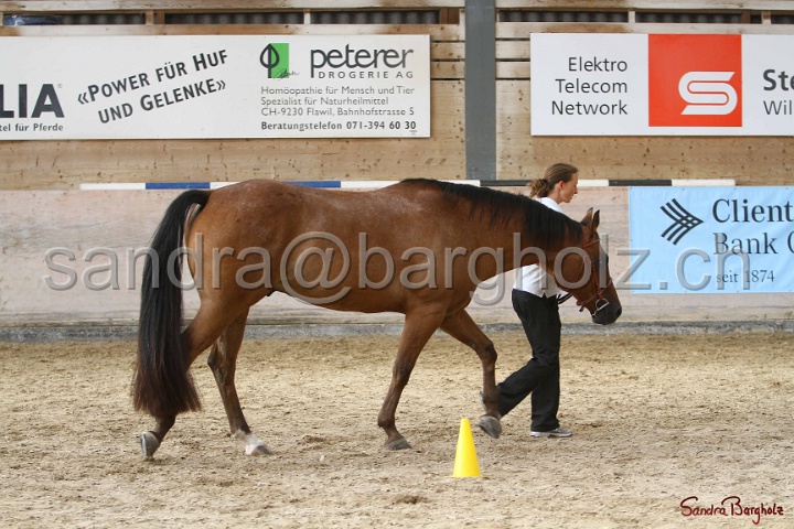 24-ApHC HIH_071.jpg